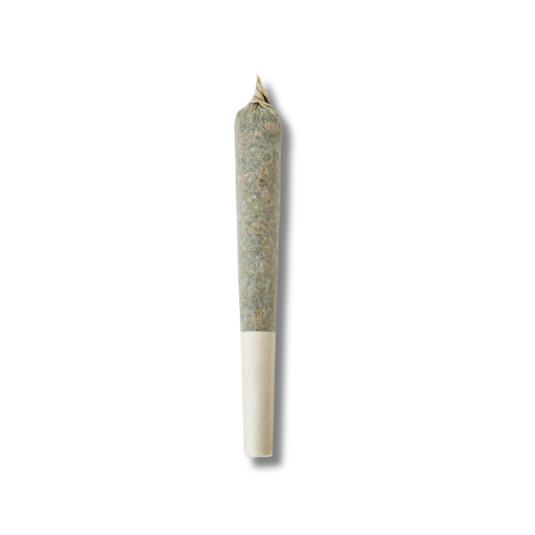 QUEEN NANDI GD - PRE-ROLL