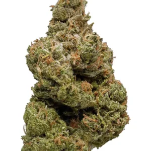 EXODUS CHEESE X SOUR DIESEL INDOOR