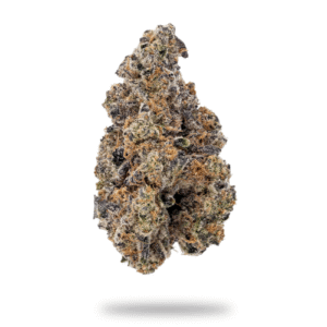 PURPLE MEATROPOLIS INDOOR