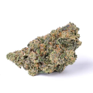 VELVET RUNTZ #1 INDOOR