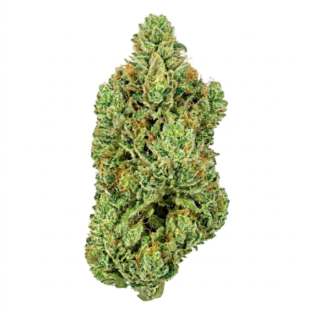 DURBAN POISON #1