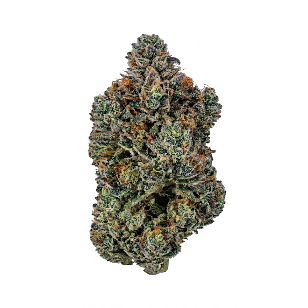 PURPLE CITY CHEM DAWG