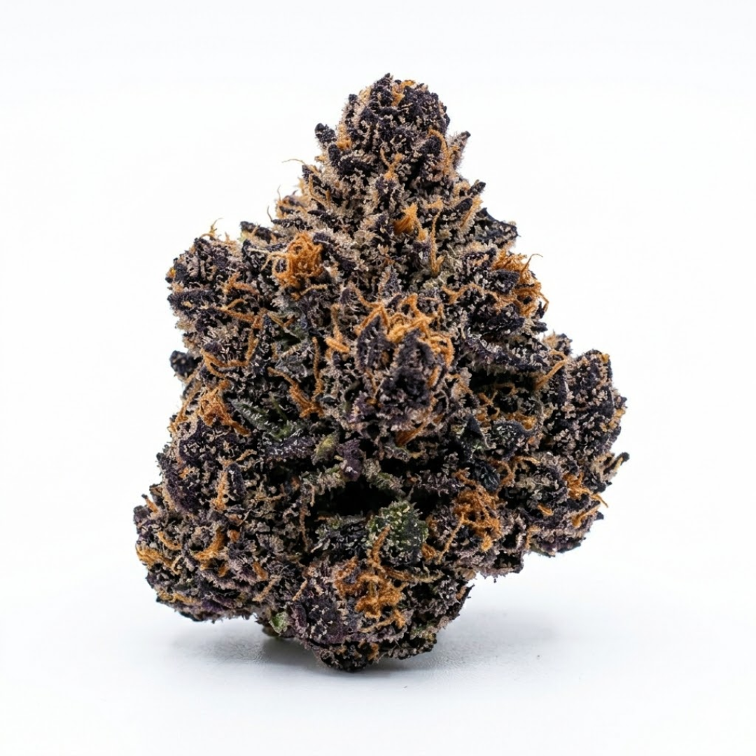 BLACK TRUFFLE