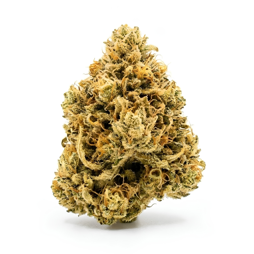 GOLDEN CHEESE